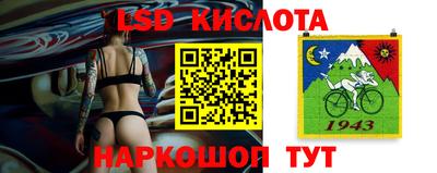 гашик Гусев